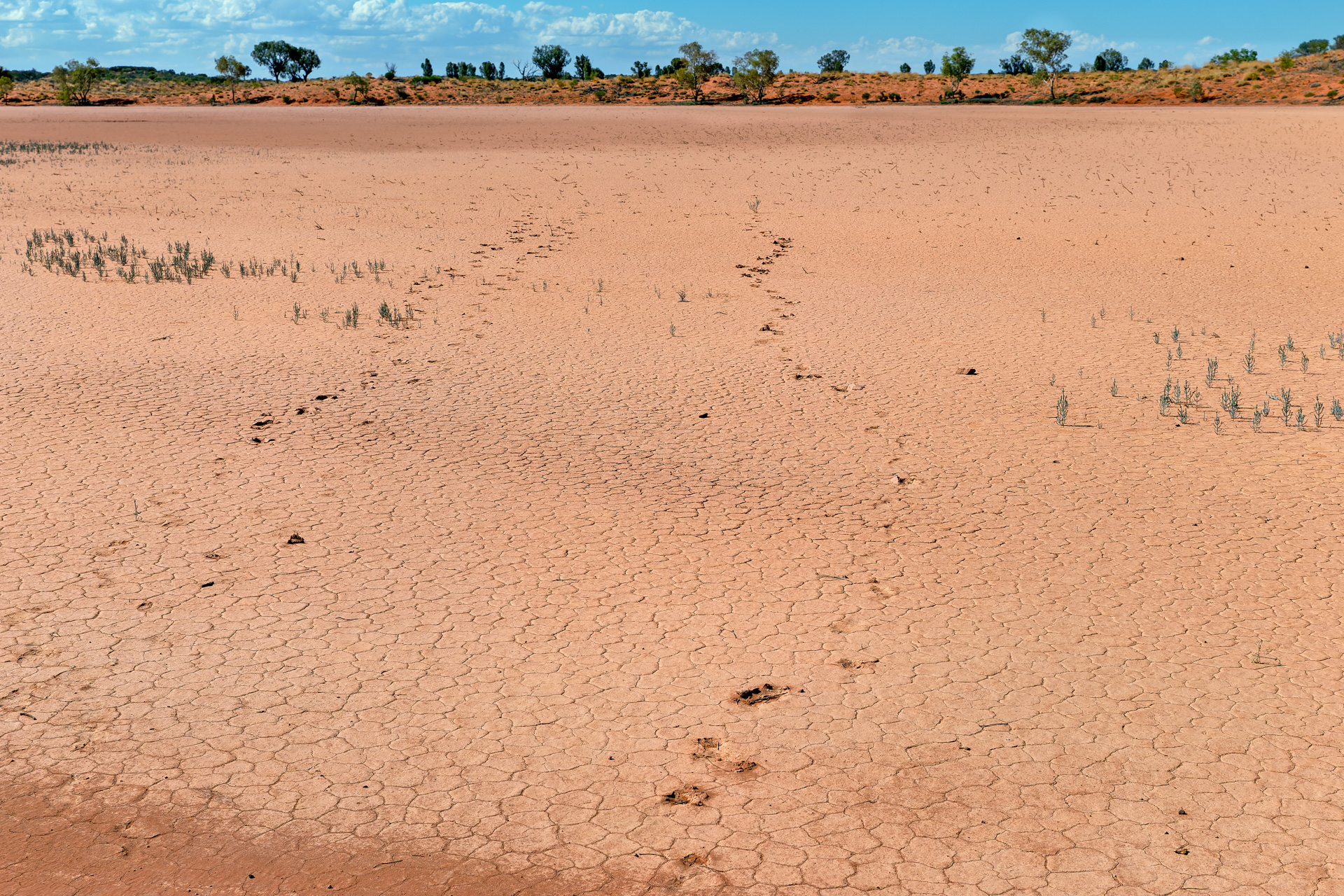 Rainbow Valley Conservation Reserve